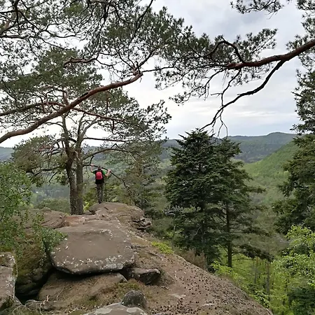 L'ours Casa vacanze Baerenthal