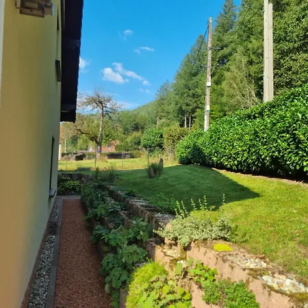 L'ours Casa vacanze Baerenthal