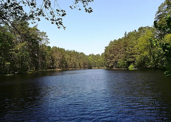 L'ours Prázdninový dům