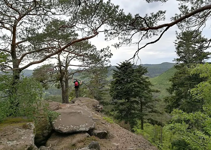 L'ours Prázdninový dům Baerenthal